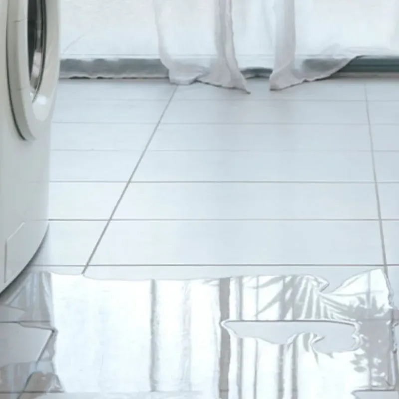 Appliance Leak Cleanup in Noble County, IN