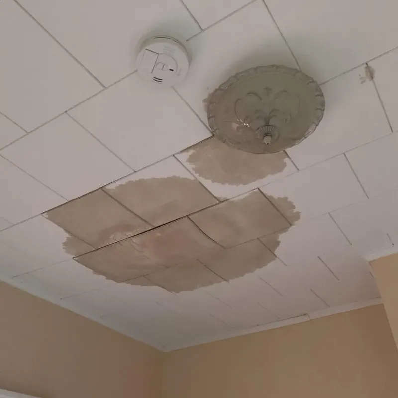 Ceiling Water Damage Repair in Noble County, IN
