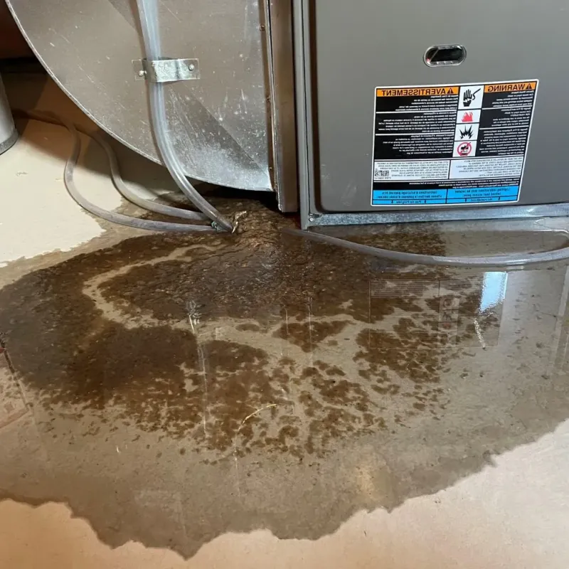 Pipe Burst and Leak Restoration in Noble County, IN